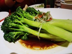 -荷风细雨·中国茶宴(碧云店)