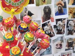 -PETKIT 小佩宠物·低压洗护·美容·寄养(安远店)