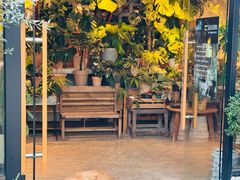 -自由生长植物工作室(深港花卉中心店)