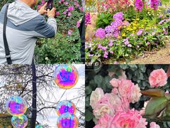 -人民公园(罗湖区)