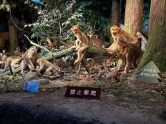 -天津自然博物馆