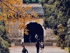 -灵谷景区