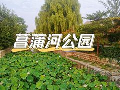 -菖蒲河公园