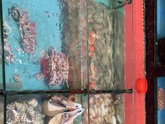 -天天海鲜城·海鲜大排档(新溪店)