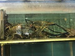 特大罗氏虾-味可道美食坊(福基路店)