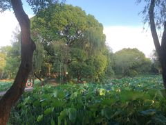 -西溪国家湿地公园