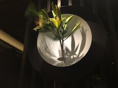 -欣叶食艺轩