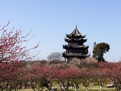 -上海海湾国家森林公园