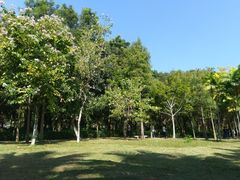 -深圳湾公园(南山区)