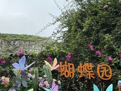 -野象谷景区