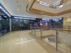 -天津梵高星空艺术馆(天河城旗舰店)