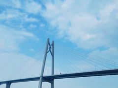 -招商蛇口邮轮母港(观光客运)