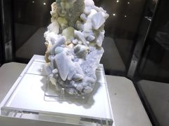 -中国地质大学逸夫博物馆
