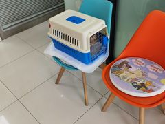-纳吉亚猫专科动物医院博雅分院