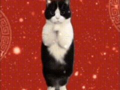 -海底捞火锅(朗悦公园茂·生日主题店)