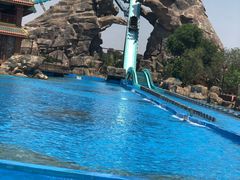 -七彩云南欢乐世界