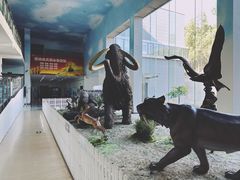-中国第四纪冰川遗迹陈列馆