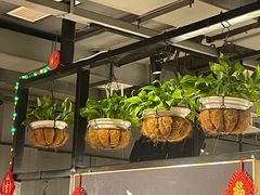 -额尔敦传统涮(西坝河店)