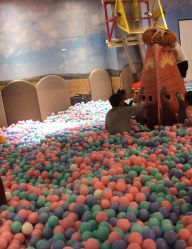 -卡通尼·Safari非洲探索乐园·生日会(金桥国际商业广场店)