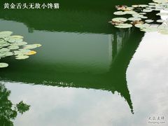 -苏州东山雕花楼宾馆