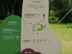-福田红树林生态公园