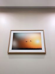 -北京米扬丽格医疗美容·联合丽格鼻整形中心