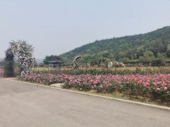 -龙寺生态园