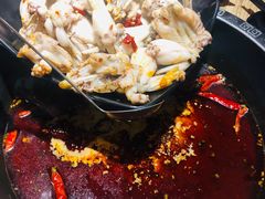 -销魂美蛙鱼头火锅(上海首店)
