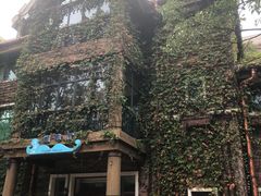 -深圳东部华侨城瀑布酒店