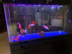 -紫东瑞亨酒店(牛市口地铁站店)