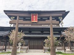 -横店圆明新园