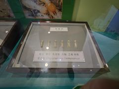 -上海昆虫博物馆