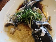 -顺德了能馆(虎门店)