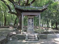 -兰亭风景区