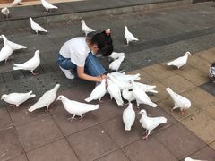 -王府井奥莱临潼小镇(临潼店)