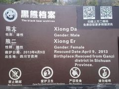 -都江堰中华大熊猫苑