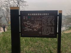-重庆彩云湖湿地公园