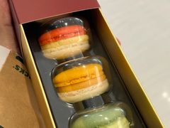 虎运年味马卡龙-星巴克(佛山九鼎国际广场店)