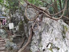 -杭州西湖风景名胜区-三生石