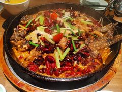 -老板恋上鱼(印象城店)