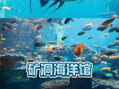 -长鹿旅游休博园