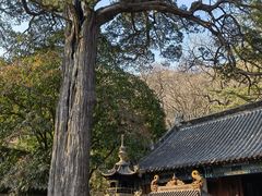 -青岛崂山太清宫