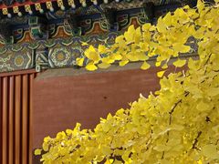 -承恩寺