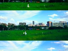-红花山公园