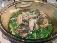 香葱焗石斑鱼-尚一汤·粤菜海鲜(环球港店)