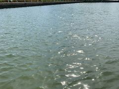 -廊坊文化艺术中心