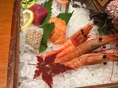 -月龍吟(朝龙汇店)