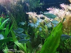 -上海海洋水族馆