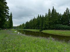 -黄海国家森林公园