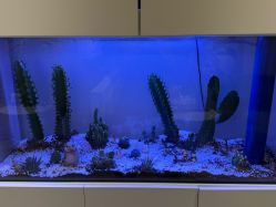 -芮娜皮肤管理·SPA中心